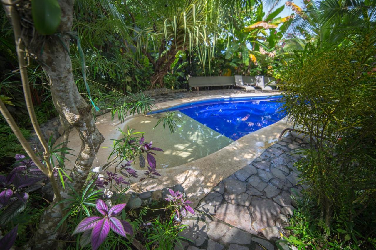 Villas Oasis 마누엘안토니오 외부 사진